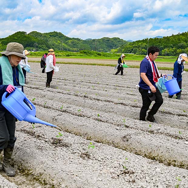 ANAグループ様との黒豆枝豆収穫・出荷支援活動